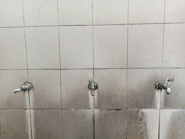 Best Sewage cleanup and water damage restoration  in Lechee, AZ