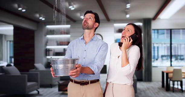 Best Water damage cleanup near me  in Lechee, AZ