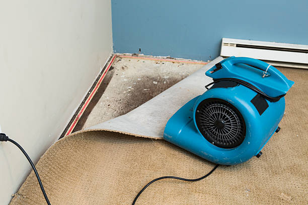 24/7 water damage repair in Lechee, AZ